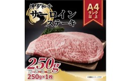 【ふるさと納税】＜A4〜A5＞博多和牛サーロインステーキ　250g×1枚【1279588】