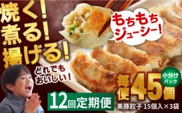 【ふるさと納税】【全12回定期便】 美豚餃子 15個入×3個セット おつまみ おかず 簡単【長崎フードサービス】 [PEL012]