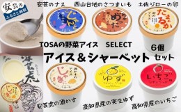 【ふるさと納税】30-04 TOSAの野菜アイス！SELECT アイス＆シャーベット 6個セット