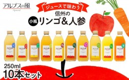 【ふるさと納税】ジュース リンゴジュース 10本 セット リンゴ 人参 ミックスジュース 信州 小瓶 りんご品種別に搾った こだわりジュース