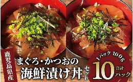 【ふるさと納税】まぐろ・かつおの海鮮漬け丼セット100g×10パック(山川町漁協/A-419)