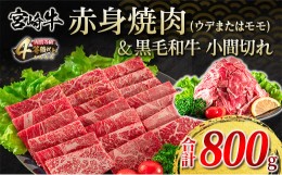 【ふるさと納税】宮崎牛 赤身 焼肉 黒毛和牛 小間切れ セット 合計800g 肉 牛 牛肉 モモ ウデ 焼肉用 国産 おかず 食品 送料無料_DA20-23