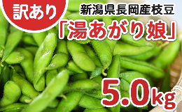 【ふるさと納税】75E-BY5【訳あり】新潟長岡産枝豆湯あがり娘5.0kg【B品】