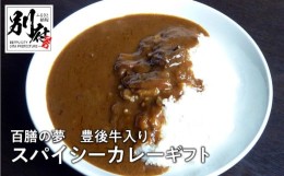 【ふるさと納税】百膳の夢　豊後牛入りスパイシーカレーギフト