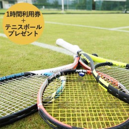 【ふるさと納税】【関西唯一】天然芝テニスコート（1時間）利用券＋テニスボールプレゼント