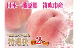 【ふるさと納税】＜2024年先行予約＞糖度センサー選別【特選】桃7-8個　約2.0kg★ 016-011 ｜もも 桃 最高級 先行予約 山梨 笛吹市 糖度