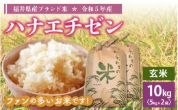 【ふるさと納税】[e30-a058] ハナエチゼン 10kg 令和5年 福井県産【玄米】【お米 はなえちぜん 華越前 10キロ】