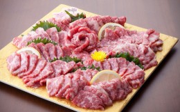 【ふるさと納税】熊本 馬刺し 極上霜降り 大トロ 500g (50g×10個) 馬肉 たれ 生姜