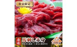 【ふるさと納税】熊本 馬刺し 特選 赤身 500g (50g×10個) 馬肉 たれ 生姜