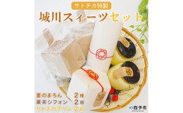 【ふるさと納税】奥伊予城川の味　サトチカ特製　城川スイーツセット