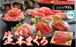 【ふるさと納税】まぐろ三昧「生本まぐろ」大トロ・中トロ・赤身 各約300g（2〜3柵） 合計約900g《レビューキャンペーン》【本まぐろ 鮪 