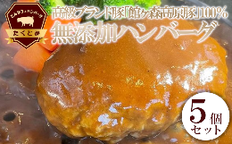 【ふるさと納税】館ヶ森高原豚100%無添加ハンバーグセット　5個入り　【11218-0460】