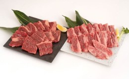 【ふるさと納税】くまもと あか牛 カルビ 300g 肩ロース 300g 計600g 牛肉