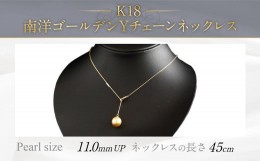 【ふるさと納税】K18 南洋ゴールデン 真珠 Y チェーン ネックレス (45cm)