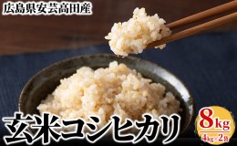 【ふるさと納税】米 令和5年産　安芸高田市産コシヒカリ『玄米』8kg