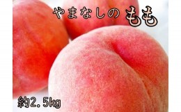 【ふるさと納税】B5705山梨県産矢崎さん家のもも8〜12玉（約2.5？）【2022年発送分】