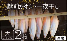 【ふるさと納税】【先行予約】越前がれい 天日干し 大2枚 越前の港から直送！旨味濃縮 一夜干し【2024年11月中旬以降順次発送予定】 [e23