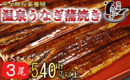 【ふるさと納税】【配送日指定可能】温泉うなぎ蒲焼 3尾（180gサイズ） 国産うなぎ 人気 国産 蒲焼 蒲焼き かば焼き 鰻屋 個包装 冷凍 真