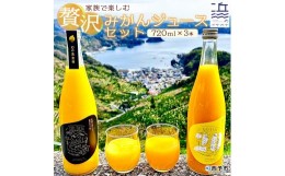 【ふるさと納税】家族で楽しむ贅沢みかんジュース　３本セット（愛媛県西予市明浜産）