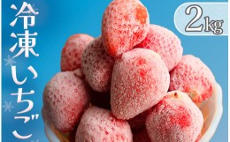 【ふるさと納税】完熟冷凍イチゴ　２kg（約7.6パック相当）紅ほっぺ、よつぼし、恋みのり　から厳選　【 いちご 果物 フルーツ 苺 イチゴ