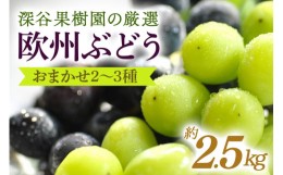 【ふるさと納税】深谷果樹園の厳選！欧州ぶどうのおまかせ2〜3種（約2.5kg）