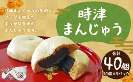 【ふるさと納税】長崎県 時津まんじゅう 10個入り×4パック 計40個 こしあん 名物 銘菓