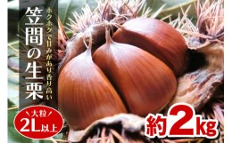 【ふるさと納税】【先行予約】【日本一】笠間の生栗（約2kg）低温熟成 利平 2L以上