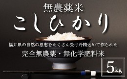 【ふるさと納税】【新米 令和5年産・玄米】無農薬米5？【こしひかり】