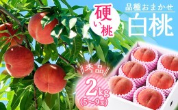 【ふるさと納税】有機肥料栽培 硬めの 白桃 2kg（5〜9玉） 秀品 品種おまかせ 山形産 2024年産 令和6年産 山形県産【2024年8月下旬頃〜10