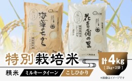 【ふるさと納税】特別栽培米4kg(精米/ミルキークイーン・コシヒカリ 各2kg)【1290531】