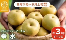 【ふるさと納税】幸水 秀品 約3kg 6〜10玉  [おぶせファーマーズ]  なし 果物 フルーツ 長野県産 信州産 令和6年産 【2024年8月下旬〜9月