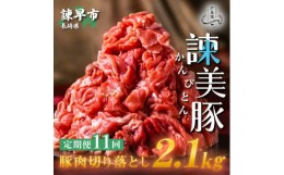 【ふるさと納税】【11回定期便】豚肉切り落とし2.1kg!諫早平野の米で育てた諫美豚 / 諫美豚 豚肉 切り落とし 肉 豚 お肉 国産 人気 スラ