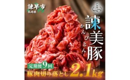 【ふるさと納税】【9回定期便】豚肉切り落とし2.1kg!諫早平野の米で育てた諫美豚 / 諫美豚 豚肉 切り落とし 肉 豚 お肉 国産 人気 スライ