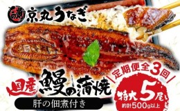 【ふるさと納税】【価格改定予定】【 3カ月定期 】国産 うなぎ 蒲焼  たっぷり 5尾 約 500g 鰻  冷凍 肝 佃煮 ギフトボックス セット 老