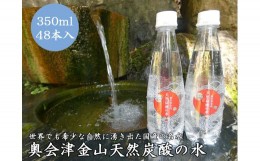 【ふるさと納税】奥会津金山天然炭酸の水（350mlペットボトル）48本