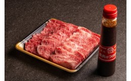 【ふるさと納税】【数量限定】おおいた和牛カルビ焼き肉セット 500g 特製つけダレ付き 豊後牛 和牛 牛肉 カルビ 大分県産 九州産 国産 中