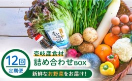 【ふるさと納税】【全12回定期便】壱岐産食材詰め合わせBOX「野菜」 [JBF017] 252000 252000円