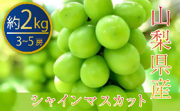 【ふるさと納税】『厳選シャインマスカット』3〜5房 約2kg 山梨県産【2024年発送】（PJ）B15-144