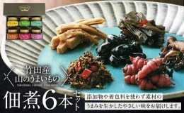 【ふるさと納税】【竹田産】山のうまいもの 佃煮 6本セット 保存料不使用 しそ 竹の子 きくらげ ふき ちょろぎ 黒豆 梅干