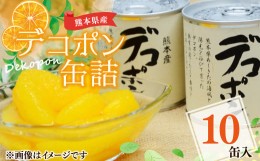 【ふるさと納税】【熊本県産】 デコポン 缶詰 295g×10缶 果物 柑橘 フルーツ