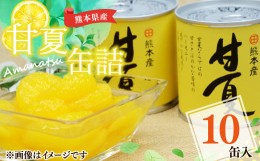 【ふるさと納税】【熊本県産】 甘夏 缶詰 295g×10缶 果物 柑橘 フルーツ