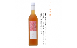 【ふるさと納税】加須産の酒米と果実だけでつくったお酒　イチジク酒　箱入500ml