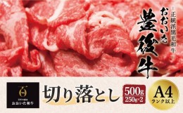 【ふるさと納税】正統派黒毛和牛 おおいた豊後牛 切り落とし 500g 小分け