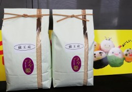 【ふるさと納税】つや姫 10kg 宮城県産 蔵王産 国産（精米 5kg×2）