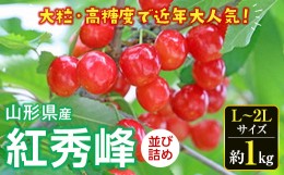 【ふるさと納税】《先行予約 2024年度発送》さくらんぼ 紅秀峰（L〜2Lサイズ）並び詰め 約1kg FSY-0532