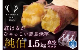 【ふるさと納税】ひゃっこい鹿島焼芋　純伯　1.5kg　(KBK-23)