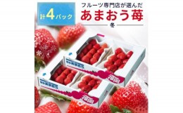 【ふるさと納税】 福岡産 ＜冬＞ あまおう 4パック ( 大野城市 ) _ いちご 苺 イチゴ ギフト プレゼント 贈り物 送料無料 【1287711】