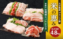 【ふるさと納税】【3回定期便】大分県産ブランド豚「米の恵み」季節の定期便セット 計4.8kg（1〜2月・5〜6月・9〜10月）定期便 豚肉