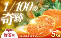 【ふるさと納税】先行予約 伊木力みかん「はなまるみかん」（贈答用）5kg / 伊木力みかん みかん 蜜柑 ミカン 柑橘 フルーツ ふるーつ 果