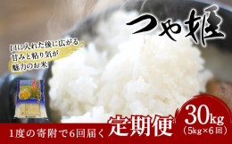 【ふるさと納税】【定期便】 大分県産 つや姫 定期便6ヶ月×5kg 計30kg